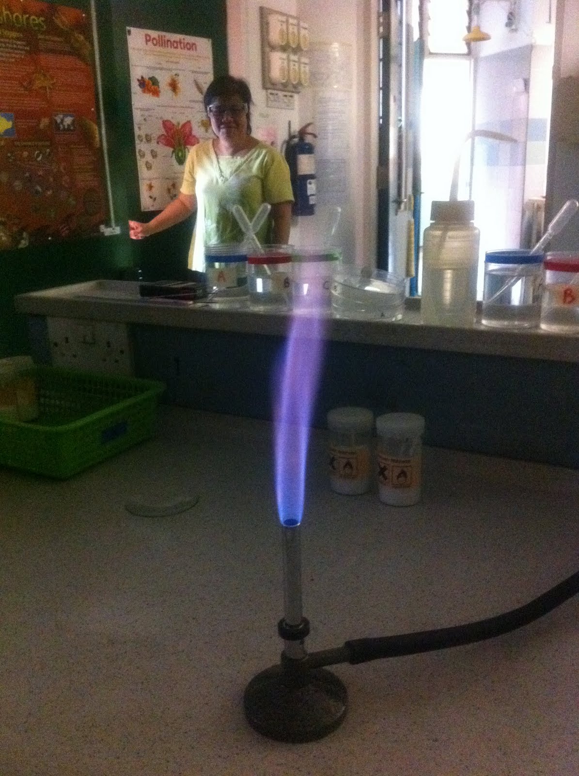Crime Scene Investigation Chromatography and Flames