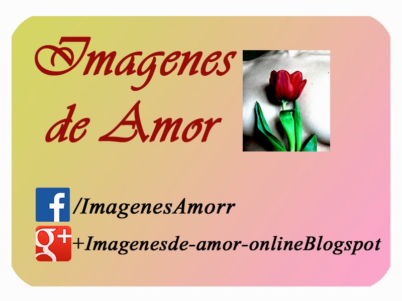 ver imagenes de amor online desmotivaciones con frases poemas rosas para facebook emos enamorados