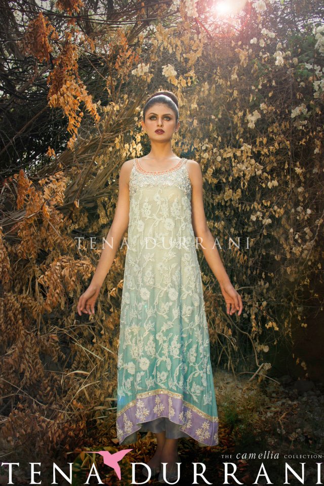 New fashion Dress by Tena Durrani