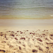 Il sole sembra più sole quando sta sopra al mare. (img )