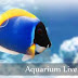 Aquarium Live Wallpaper 3.1 apk Free Download Android