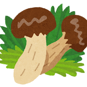 松茸のイラスト