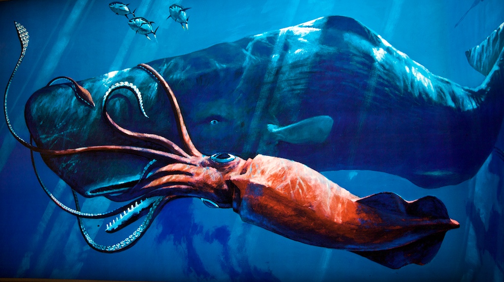 Sperm_Whale_vs_Giant_Squid.jpg
