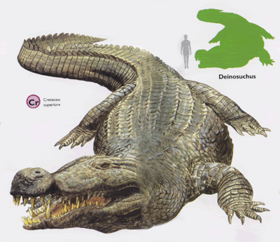 cocodrilo gigante Deinosuchus