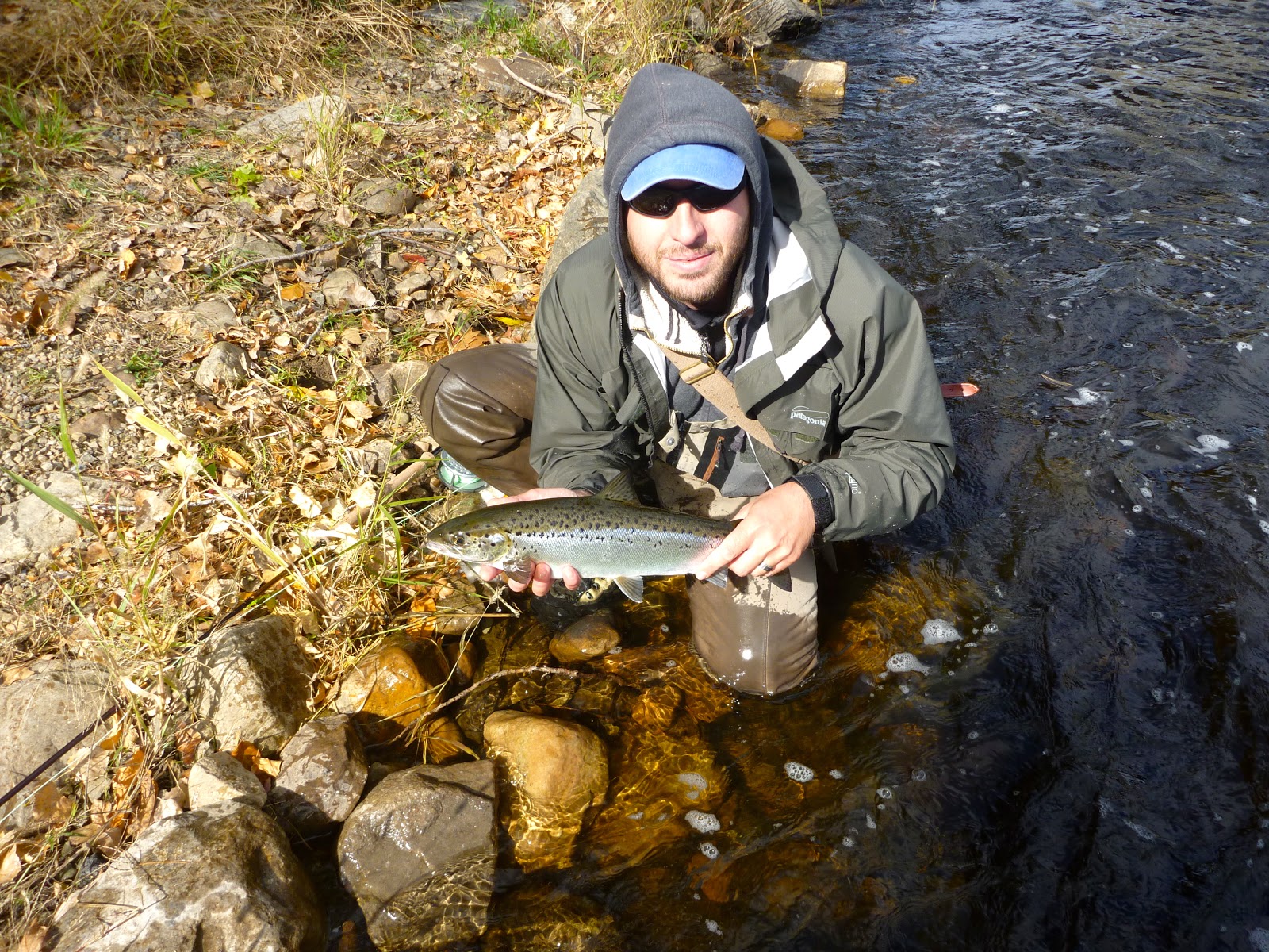 Atlantic Salmon Flies Landlocked Salmon Fishing October 2012