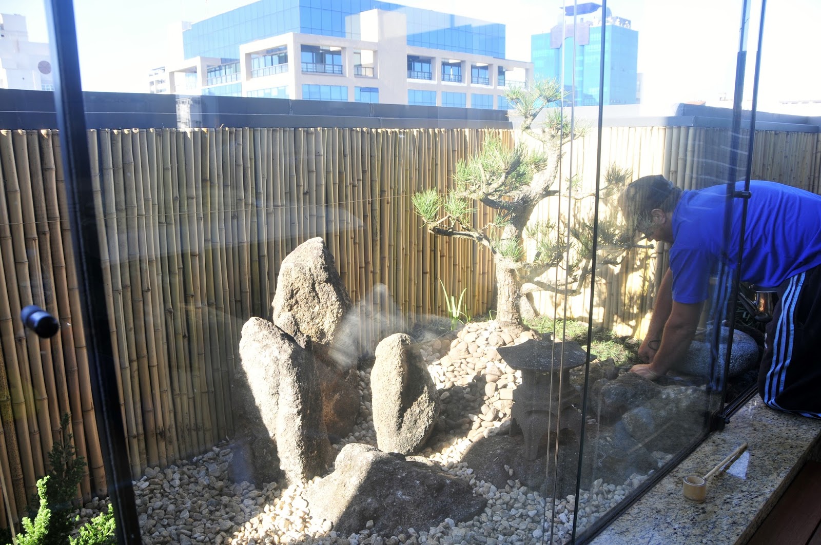 plantas jardim japones:JARDIM JAPONES NO TERRAÇO EM SP plantas jardim japones:JARDIM JAPONES NO TERRAÇO EM SP