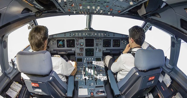 Pilots Of Organisation