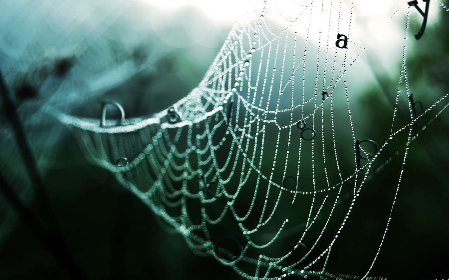 http://2.bp.blogspot.com/-bZwmJ7zgED8/Tnm7N-_WNFI/AAAAAAAAAdQ/tI1tSyOgX_E/s1600/1440x900_HD_wallpaper_122_zixpkcom.jpg
