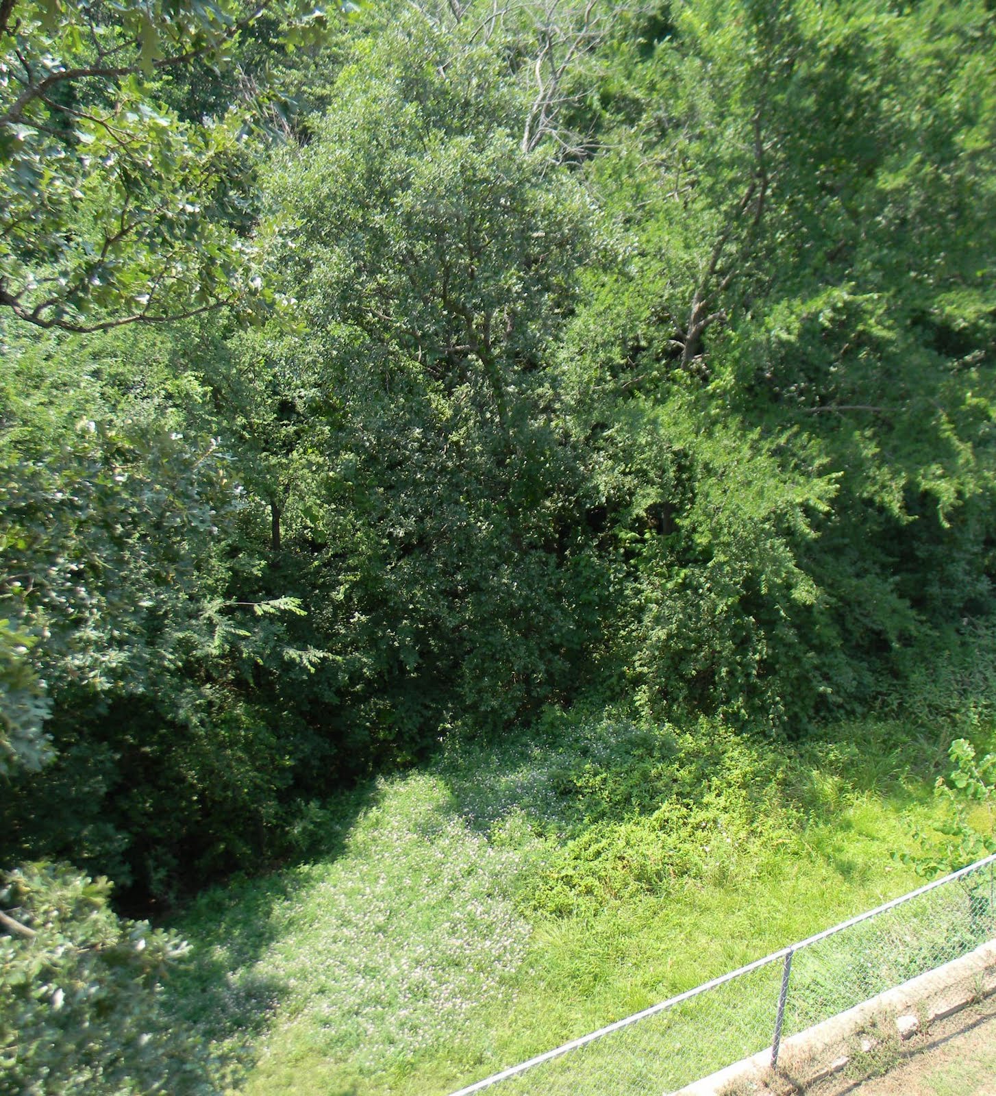 Get Tuscan Rose Rock Gif