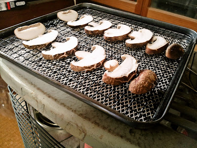 焼きしいたけ