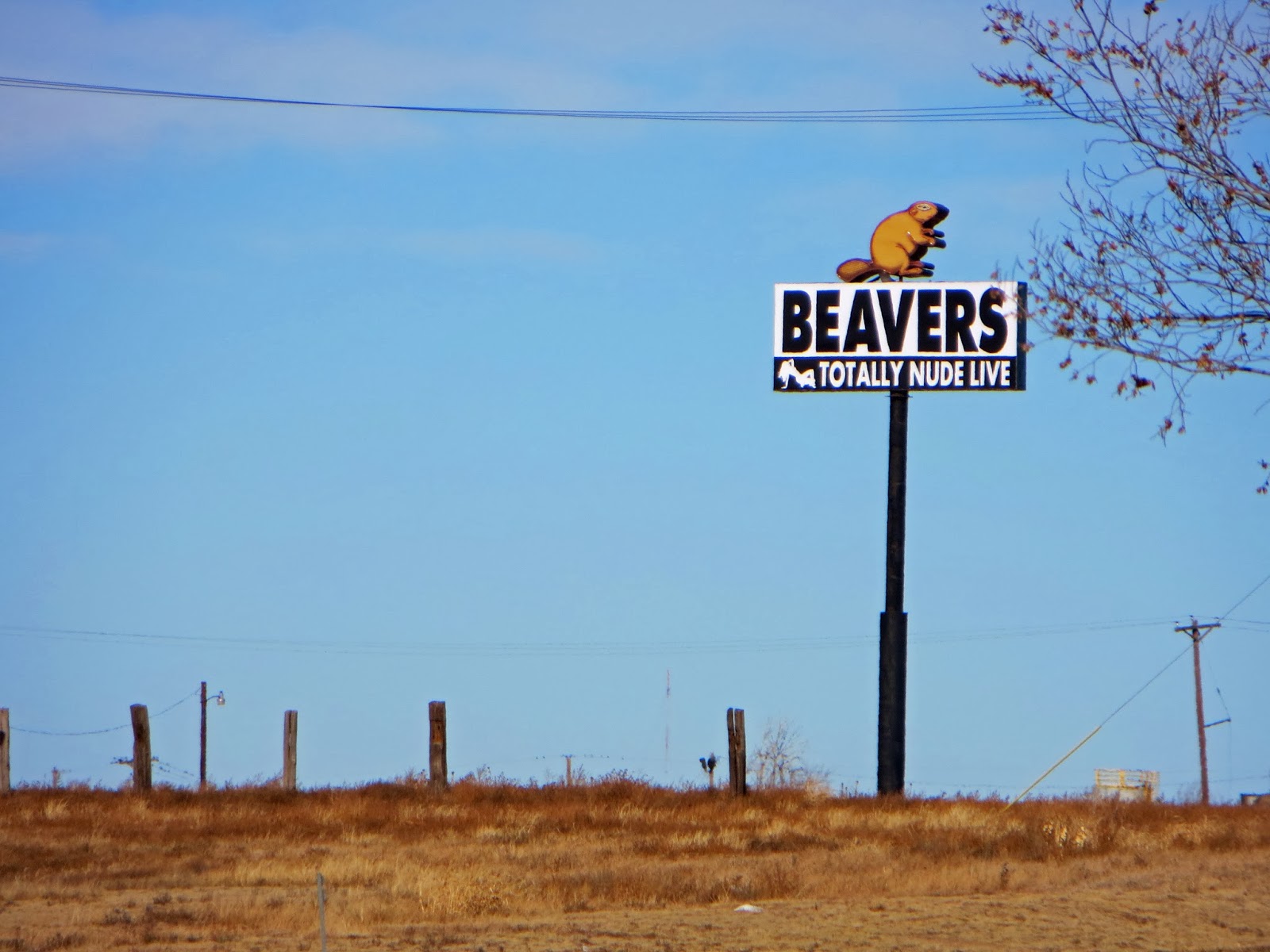 The Daily Rant Beaver Exploitation In Texas