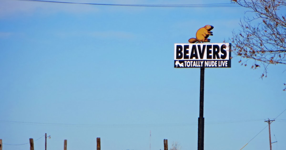 The Daily Rant Beaver Exploitation In Texas