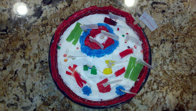 The Grand Adventures of a Tween Animal Cell Model Project The Grand Adventures of a Tween Animal Cell Model Project