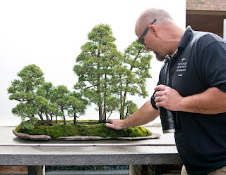 Walter's Travelogues: Chicago Botanic Garden bonsai collection