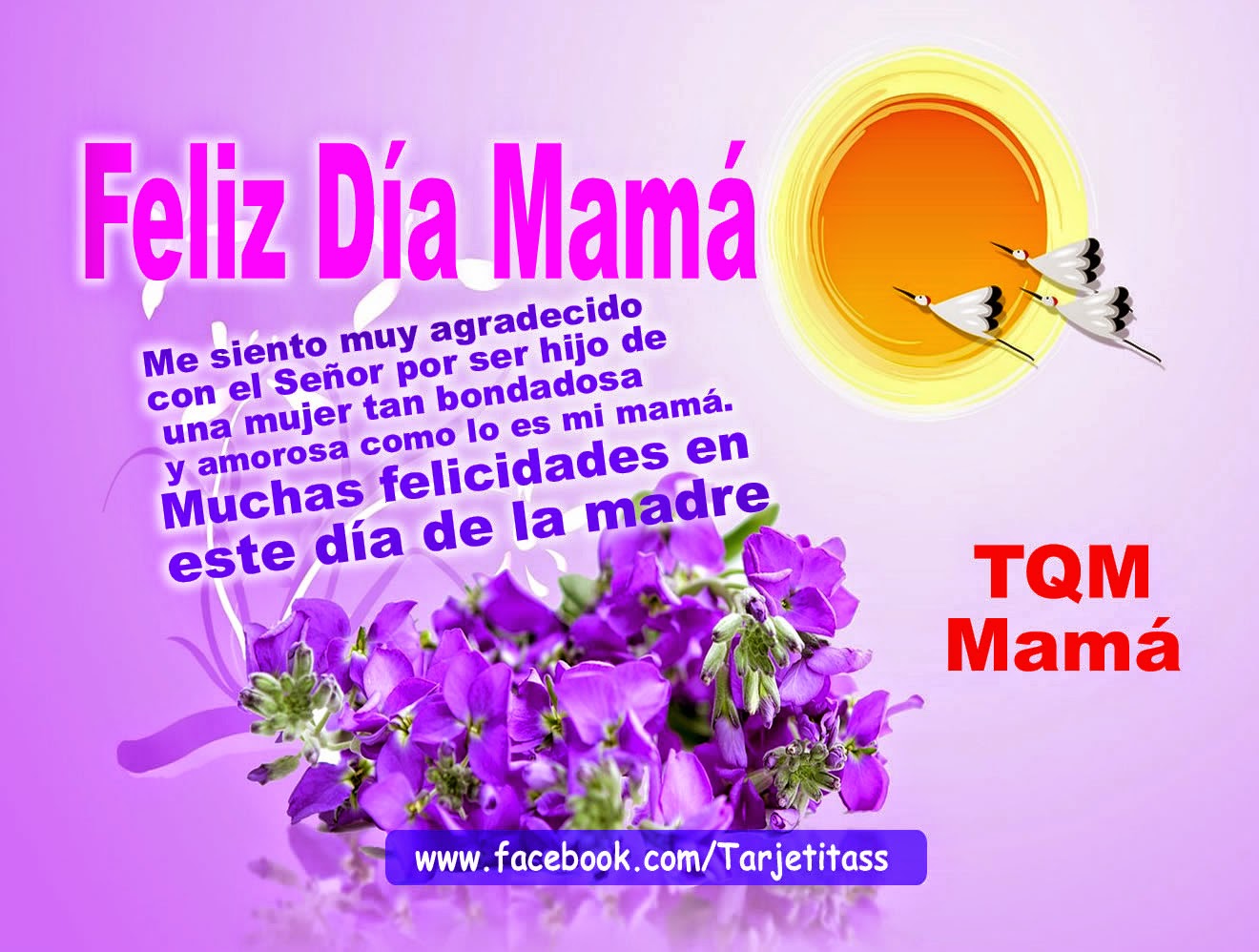 mamas gigantes sms amor mamas gigantes sms amor