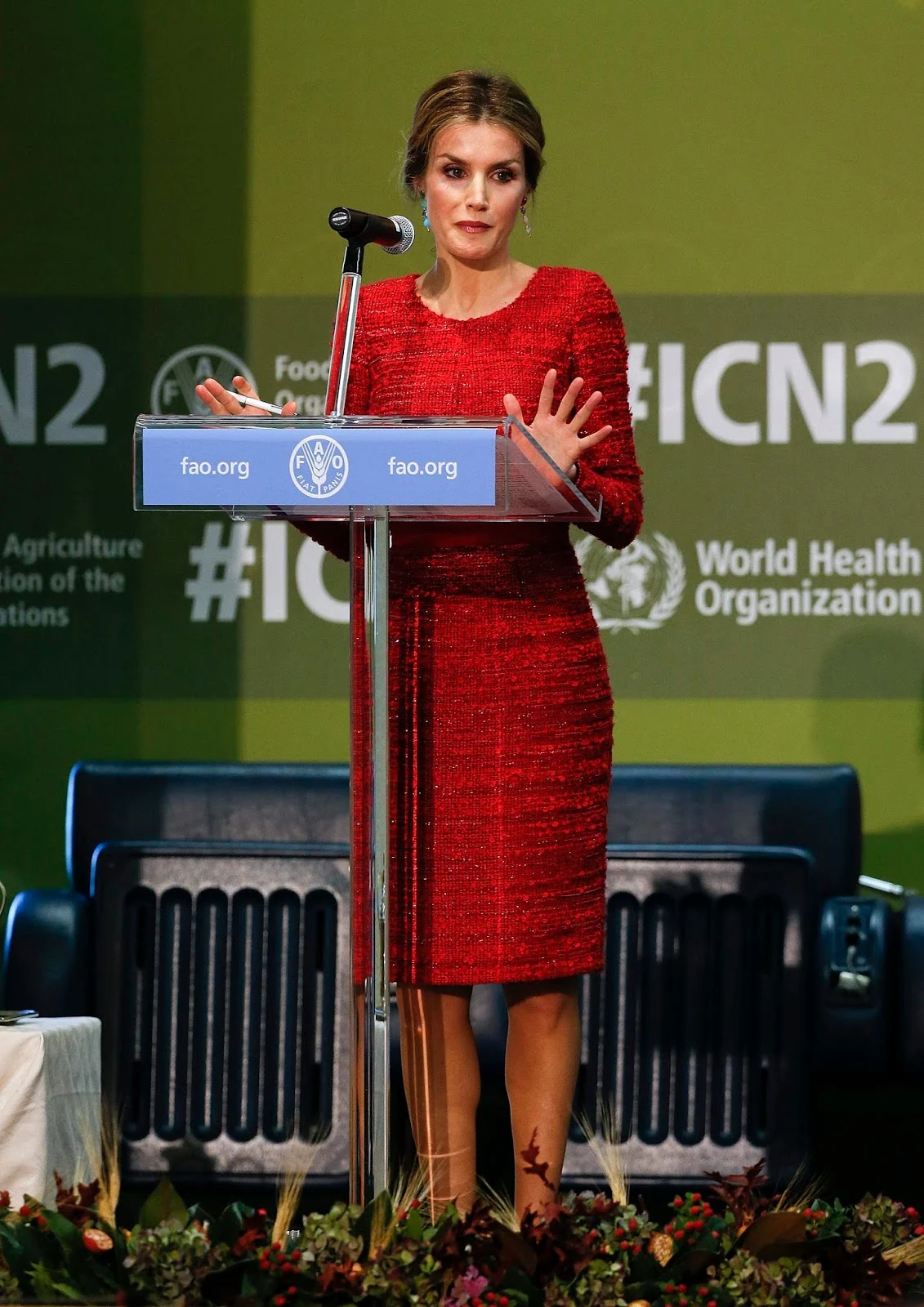 Director of the FAO Jose Da Silva greets Queen Letizia of Spain as she arrives at the FAO headquarter for the second international conference on nutrition