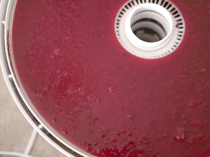 CherryApple Fruit Leather Backwoods Mama