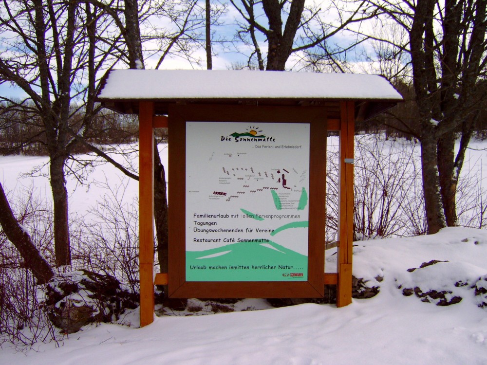 04 09 2015 Potsdam Landtag Wandervogel