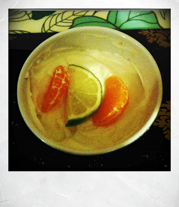 The Vegetarian Experience Lemon & Lime Cheesecakes