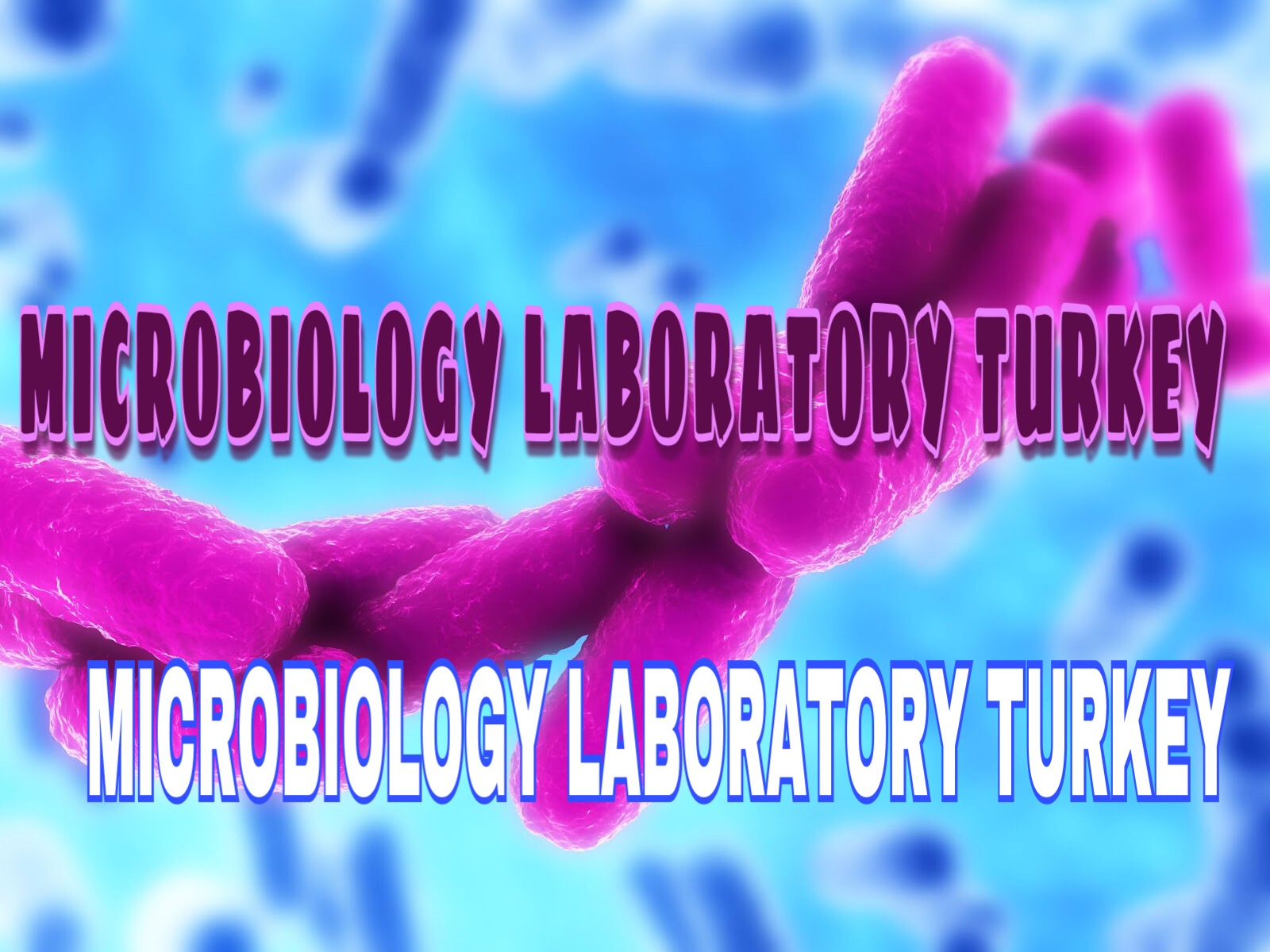 Microbiology Laboratory Turkey