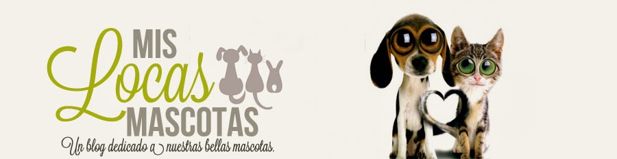 blog de mascotas