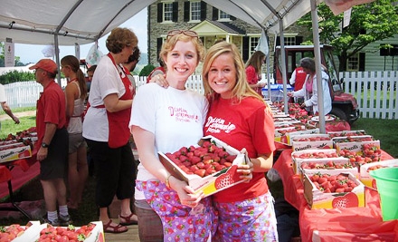 Strawberry festival coupon code