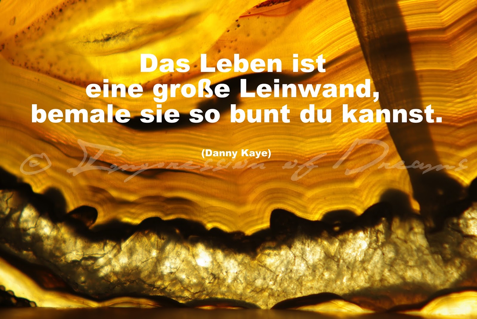 Lucciola Spruch des Tages 11.02.15