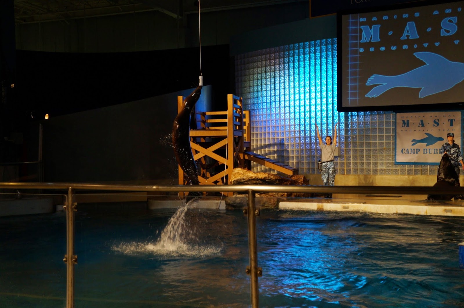 Evan and Lauren�s Cool Blog 8/7/14 Mystic Aquarium and