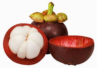 10 Manfaat Buah Manggis 10 Manfaat Buah Manggis
