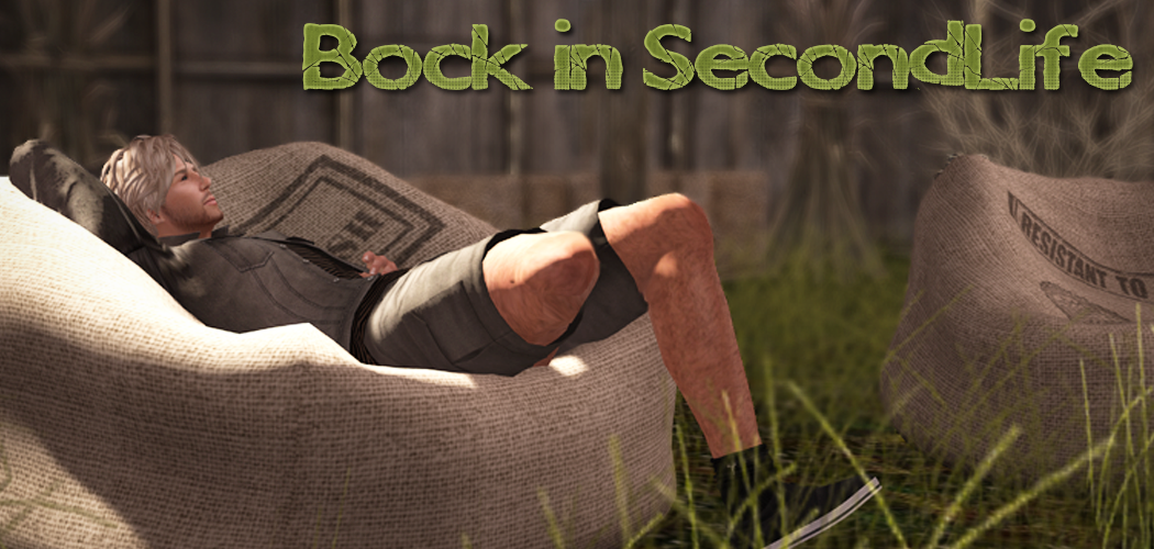 Bock in SecondLife