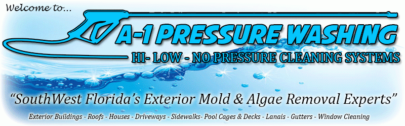Pressure Washing, Roof Cleaning, North Port, Venice, Sarasota, Englewood, Port Charlotte