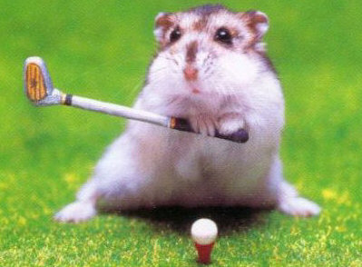 dangerous golf 1.2 dangerous golf 1.2