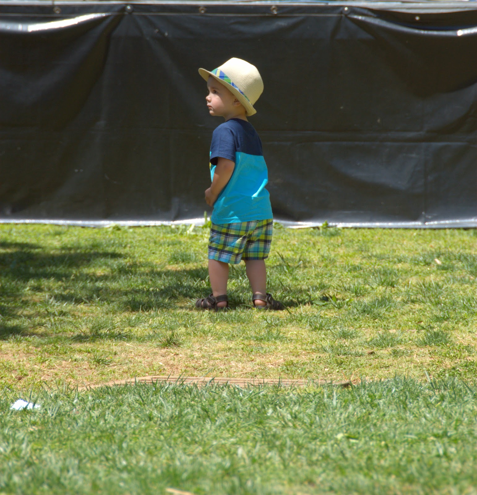 Wander Photo Bitter Dregs of Panoply