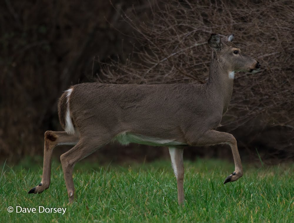 Off to Aberdeen Proving Grounds