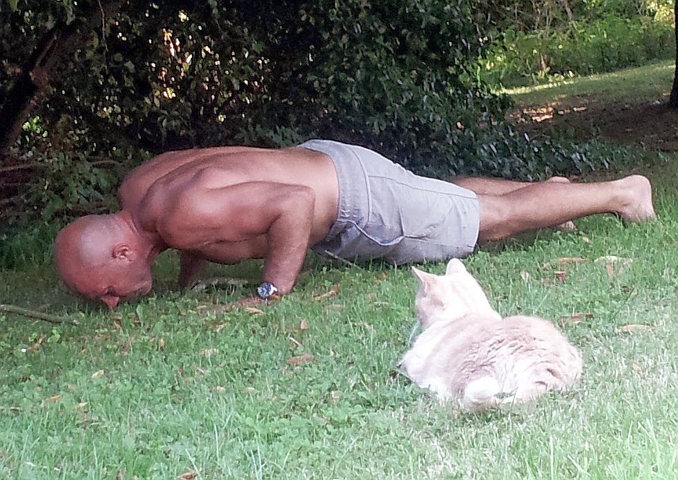 cat bodyweight training