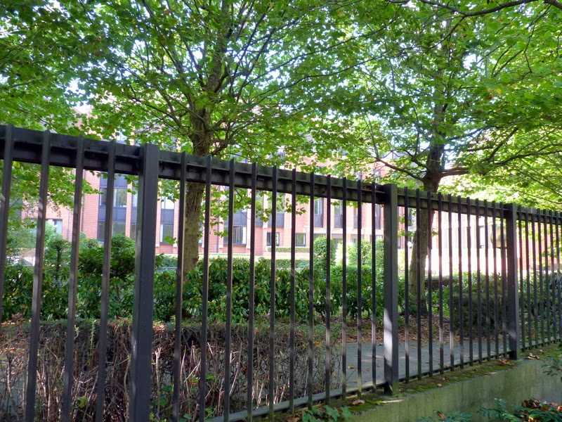 stable solution of inverse problems