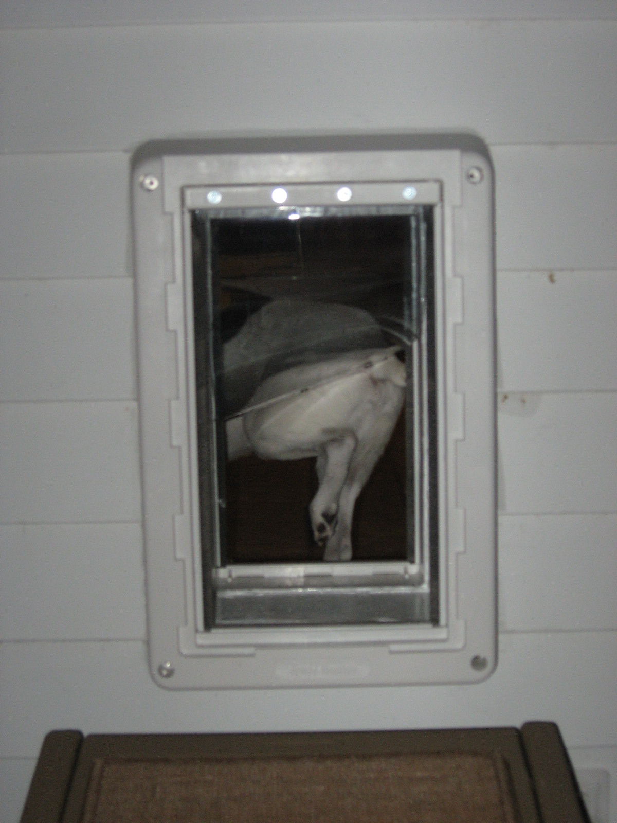 The Naked Dog Review Ruff Weather Dog Door by Ideal Pet Products