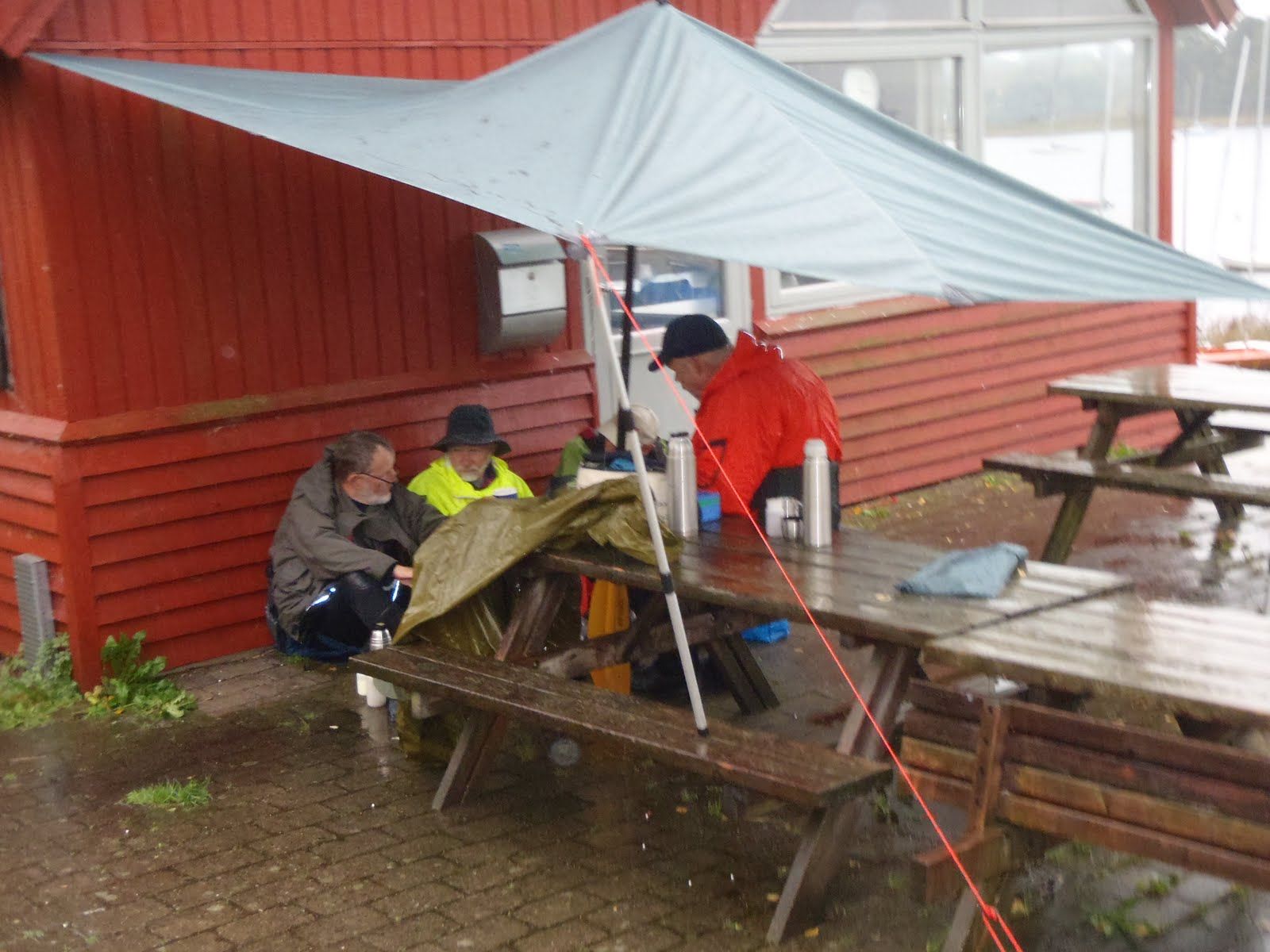 delt intet våt mus delt intet våt mus