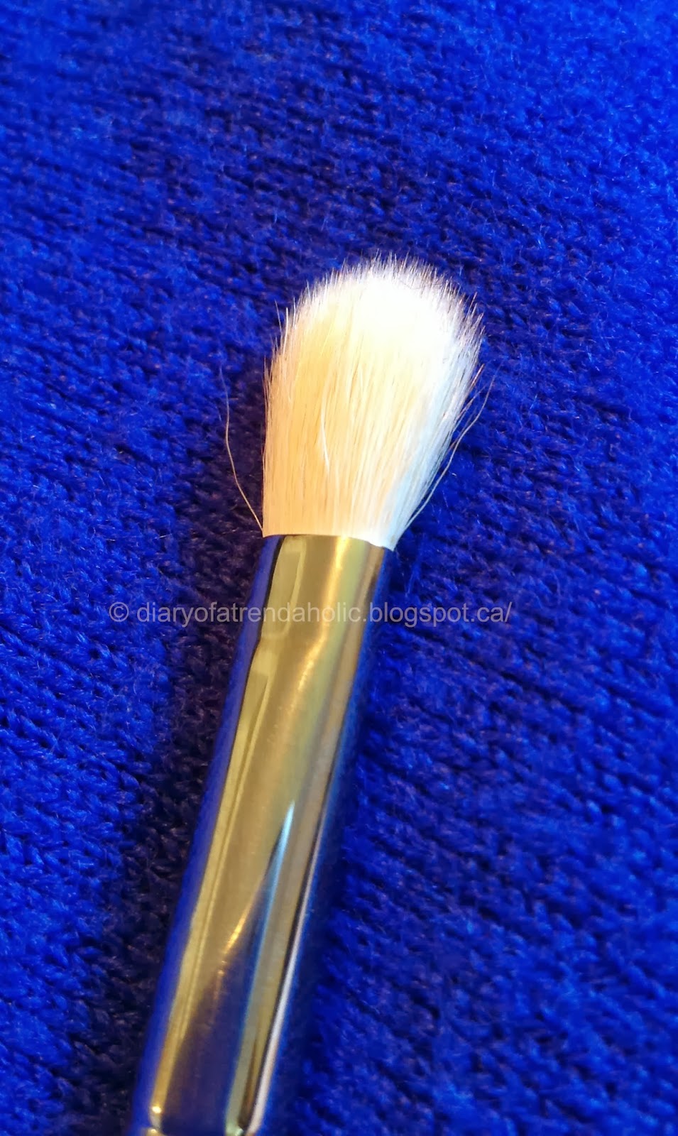 Diary of a Trendaholic Coastal Scents Makeup Brushes