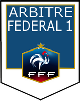 http://www.fff.fr/common/bib_res/ressources/440000/5500/150606173221_classement_de_fin_de_saison_2014_2015_-_f1.pdf
