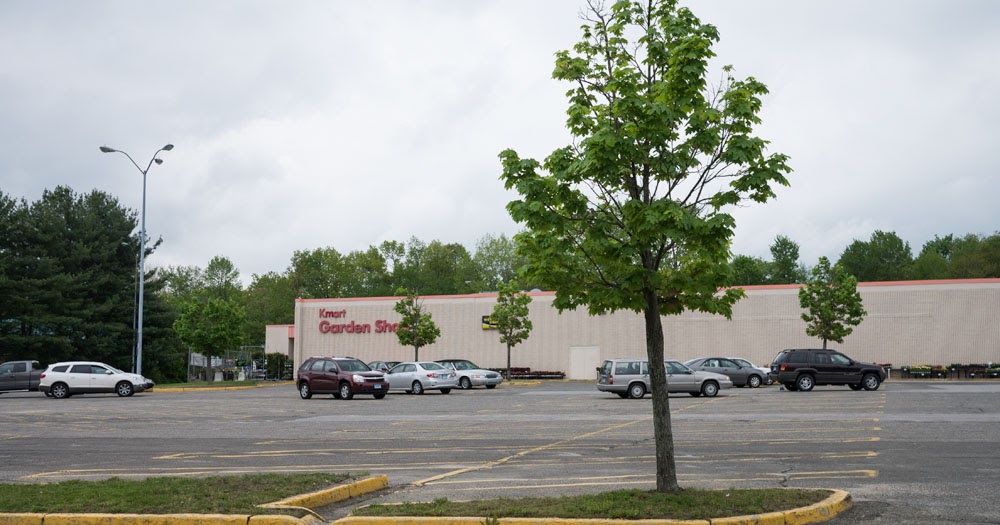 Working Pictures Parking Lot Tree