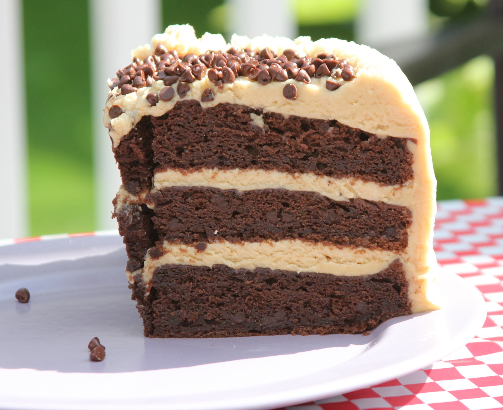 Punkie Pie's Place Chocolate Peanut Butter Fudge Cake