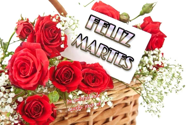 Imágenes de Buenas Tardes con frases para desear una Feliz