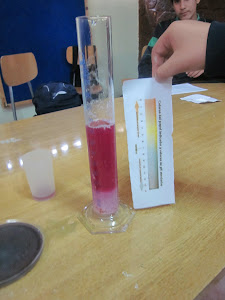 Identificando ácidos y bases.