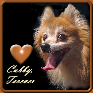 We miss Cubby