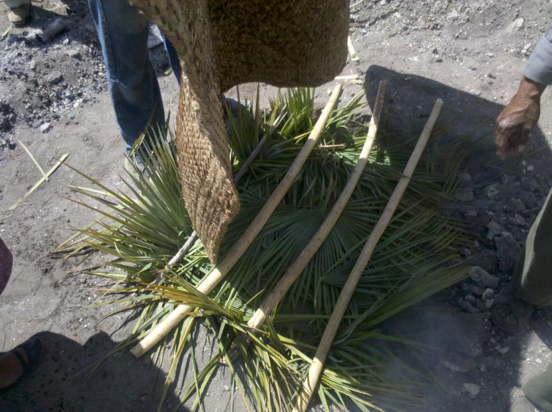 Plantas que Enamoran Uso del Maguey en la Preparación de Barbacoa de
