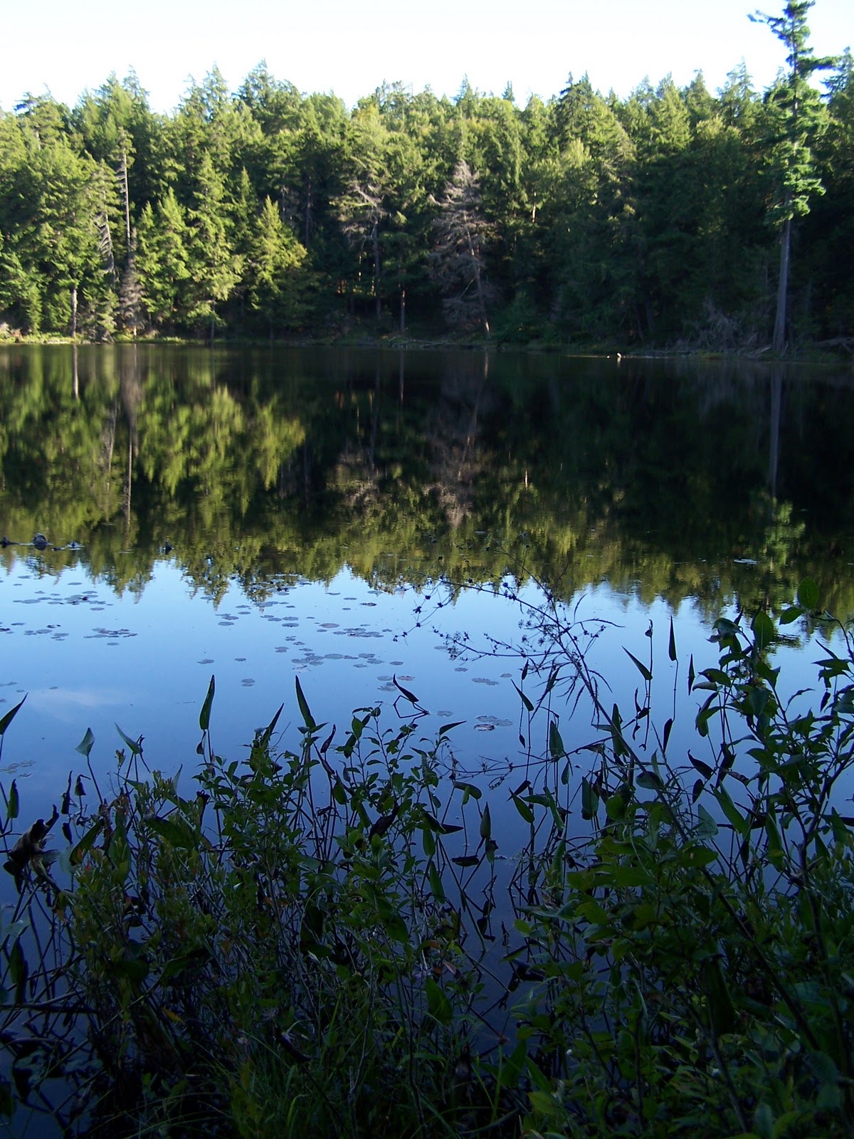 Quiet Kayaking in New York State Massawepie Lake, part two