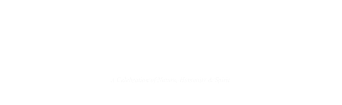 Skyhawk Photography