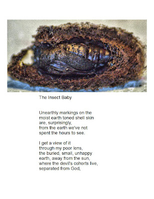 [Image: insectbabyfinal.jpg]