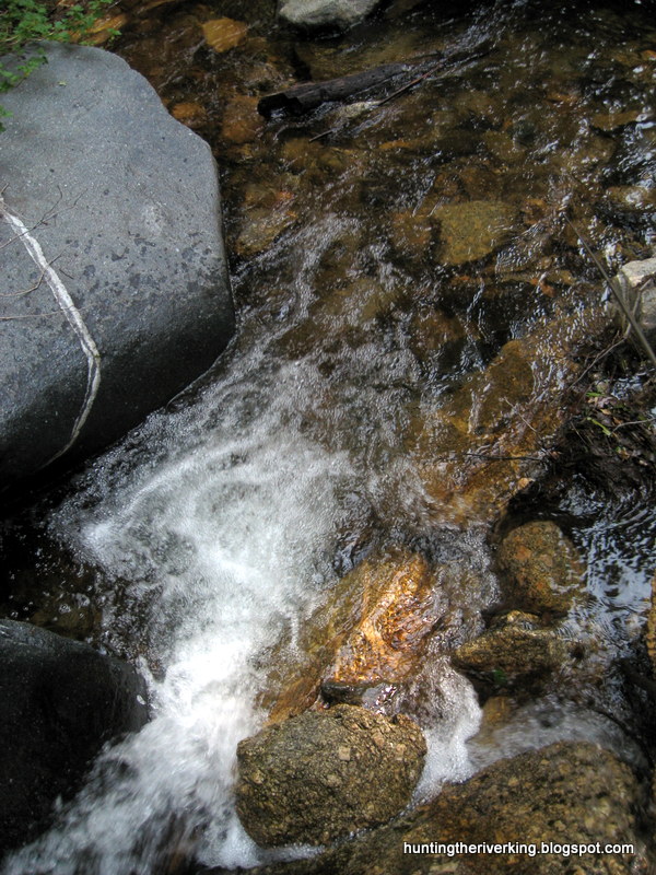 San Bernardino National Forest Rainbow Trout Creek Fishing Hunting